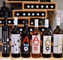 Explore Anoskeli's wine and olive tasting