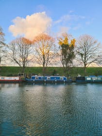 Go for a morning run around Markfield Park