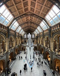 Discover dinosaurs at The Natural History Museum