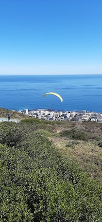 Experience Cape Town Tandem Paragliding