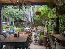 Dine alfresco at Kloof Street House