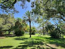 Stroll around De Waal Park