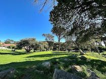 Explore Van Riebeeck Park's scenic beauty and vibrant weekend market