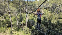 Enjoy a forest climb at Le Royaume des Arbres