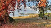 Explore Baratti and Populonia Archaeological Park