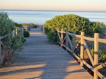 Explore the Trail Artola Dunes