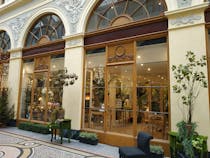 Wander through Galerie Vivienne