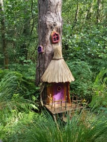 Explore the Enchanting BeWILDerwood Norfolk