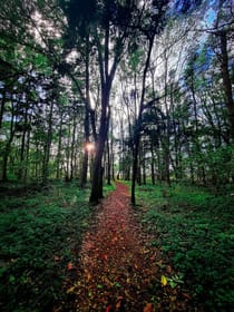 Explore Ladybelt Country Park