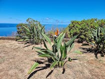 Capture the Beauty at Véu da Noiva Viewpoint