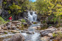 Explore Levada do Alecrim