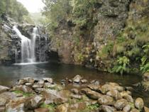 Explore the Scenic PR17 Pinaculo e Folhadal Hiking Trail