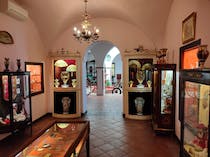 Explore the quirky collections at Museo Lara