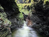 Explore Lydford Gorge's enchanting trails