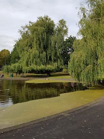 Take a leisurely stroll through Victoria Park