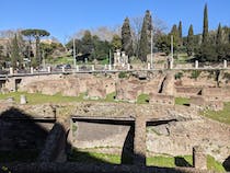 Explore the remains of a gladiatorial training school at Ludus Magnus
