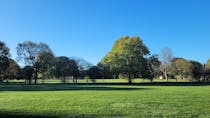 Go for a stroll in Wandsworth Common