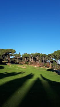 Play golf at Circolo Golf dell'Ugolino