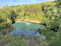 Enjoy a barbecue at Parco di Fonte Santa