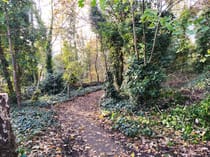 Explore nature at Gunnersbury Triangle Reserve