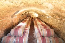 Experience the delights of Villa Pillo