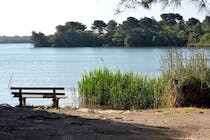 Explore the tranquil Alimini Lakes