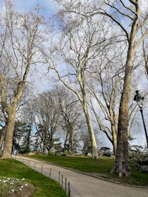 Visit Parc Montsouris