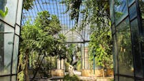 Explore Orto Botanico di Palermo