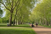 Stroll around Hyde Park