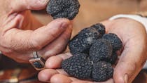 Experience truffle hunting with Giulio in Tuscany