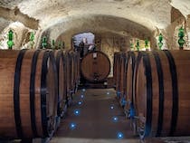Explore Gattavecchi Winery