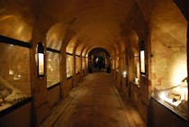 Explore the fascinating Museo Archeologico