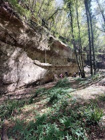 Explore the splendid Alta Valle del Torrente Carfalo Park