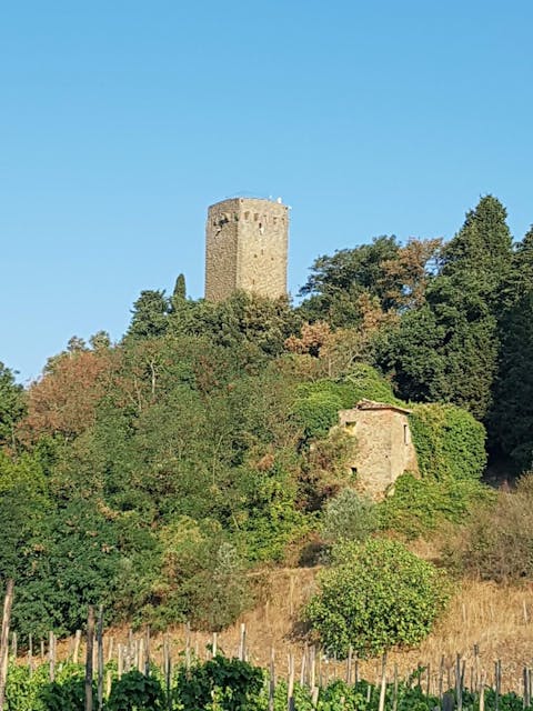 Tuscan Views, Bucine, Arezzo | Plum Guide