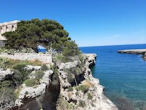 Discover Torre Incina