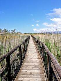 Take a stroll through LIPU Massaciuccoli