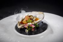 Enjoy fresh seafood at Zen Sushi Pescia