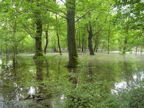 Explore Oasi WWF Bosco del Bottaccio