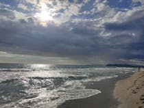 Explore the Oasi WWF Dune di Forte dei Marmi
