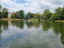 Explore Villone Puccini's park and historic gardens