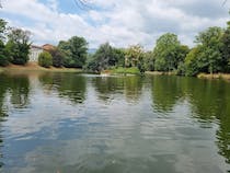 Explore Villone Puccini's park and historic gardens