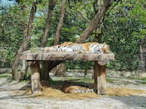 Explore Parco Zoo Punta Verde