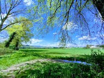 Explore Ponte di Cimabue