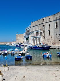 Explore the historical charm of Porto Antico