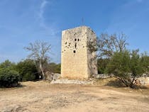 Explore the enchanting Torre Castiglione