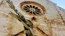 Explore the beauty of Conversano Cathedral
