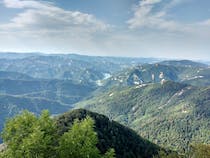 Explore the enchanting Casentino Forests