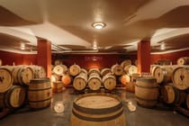 Explore Caiarossa Winery