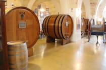 Explore the Museum of Primitivo Wine