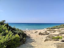 Explore the Campomarino Dunes